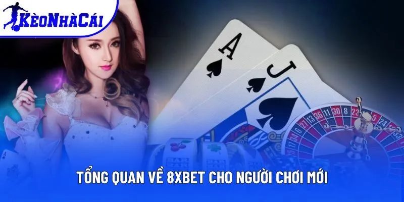 Tổng quan về 8xbet cho người chơi mới Tổng quan về 8xbet cho người chơi mới